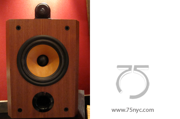 Enlarged view of image